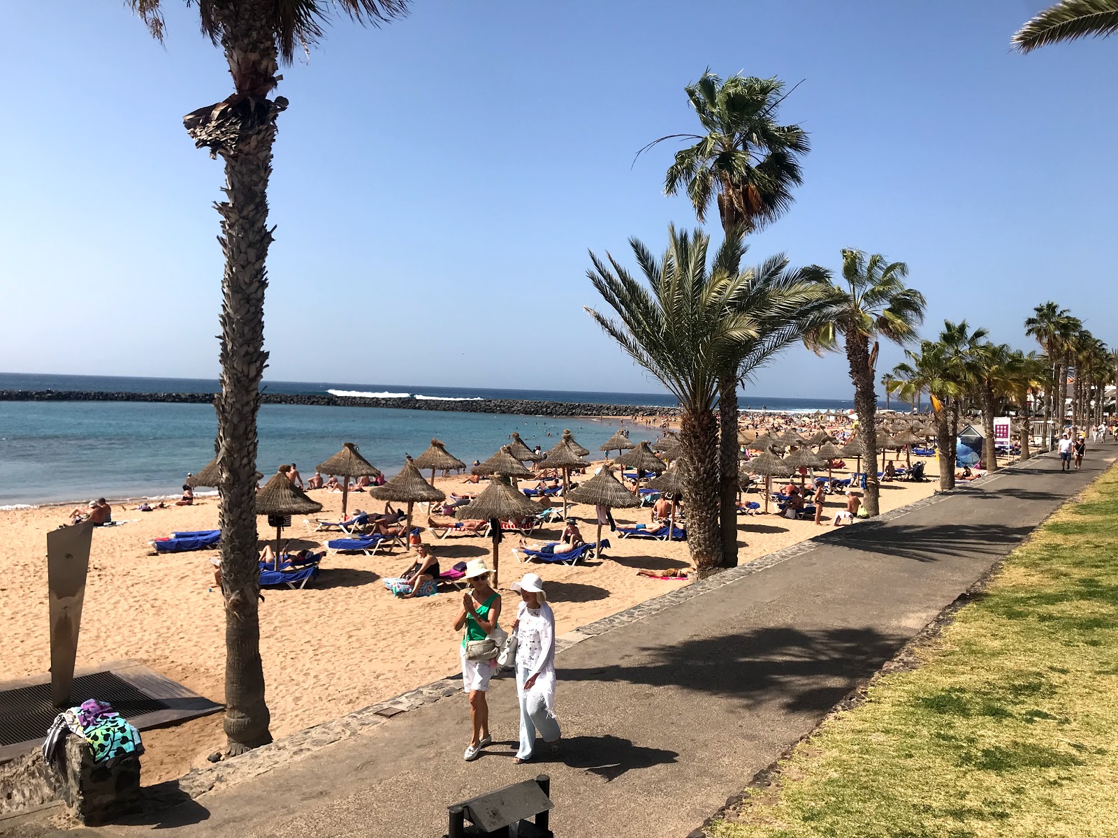 Photo of Playa de las Americas with very clean level of cleanliness
