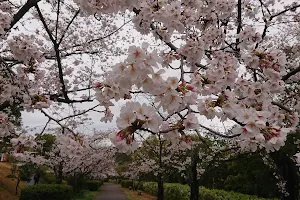 Higashiyama Park image