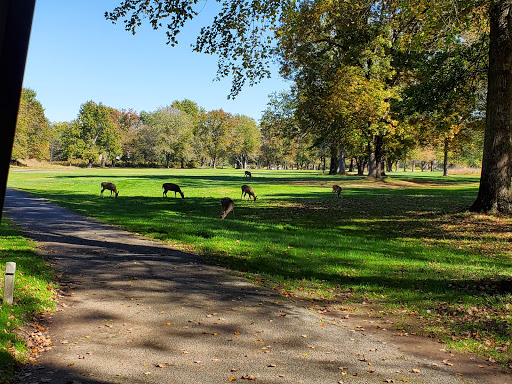 Public Golf Course «Algonkian Golf Course», reviews and photos, 47001 Fairway Dr, Sterling, VA 20165, USA