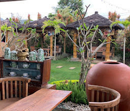 Bibit Tabulampot photo