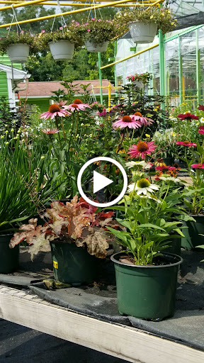 Florist «Dutch & Olgas Greenhouse», reviews and photos, 1285 NJ-36, Hazlet, NJ 07730, USA