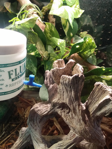 Pet Store «Petland», reviews and photos, 351 Diederich Blvd, Ashland, KY 41101, USA