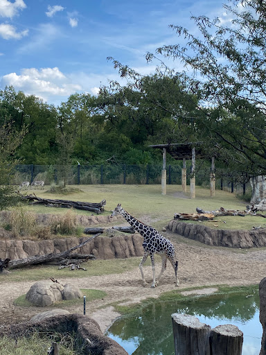Transit Stop «Dallas Zoo Station», reviews and photos, 614 S. Ewing Avenue, Dallas, TX 75203, USA