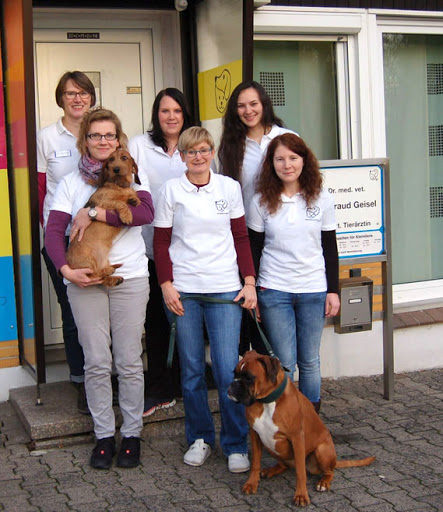 Kleintierpraxis Dr. med. vet. Waltraud Geisel unter Schlüchtern, 