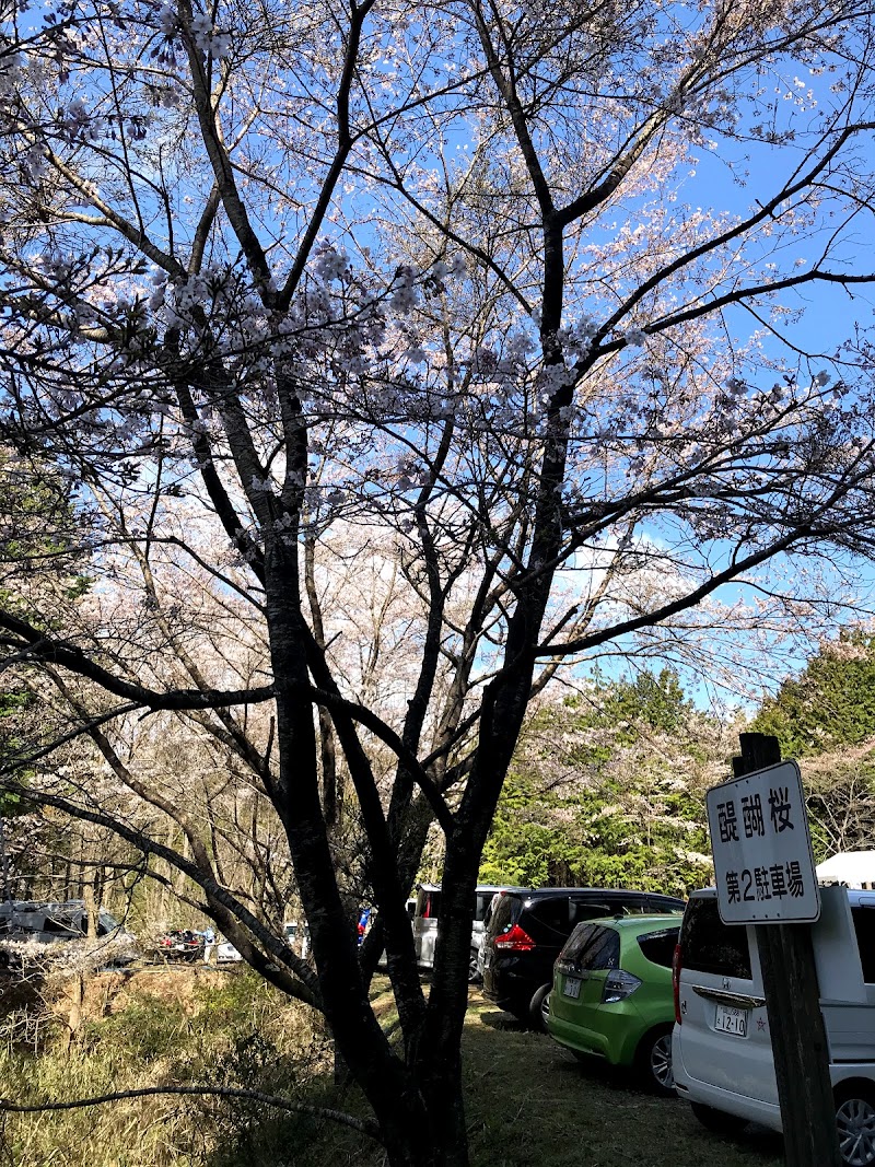 醍醐桜第２駐車場