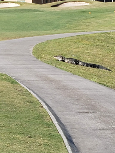 Golf Club «Scepter Golf Club reservations», reviews and photos, 1226 Newpoint Loop, Sun City Center, FL 33573, USA