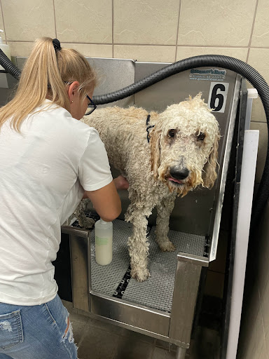 Pet Supply Store «Pet Supplies Plus», reviews and photos, 180 N Randall Rd, North Aurora, IL 60542, USA