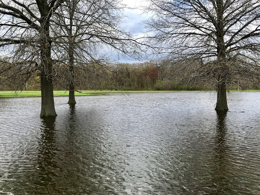 Nature Preserve «Harms Woods», reviews and photos, Harms Rd, Glenview, IL 60025, USA