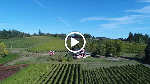 Winery «Sokol Blosser Winery», reviews and photos, 5000 NE Sokol Blosser Ln, Dayton, OR 97114, USA