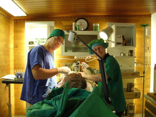 Rosengartenkleintierpraxis Dr. med. vet. Shay Soriano unter Zapfendorf, Bayern
