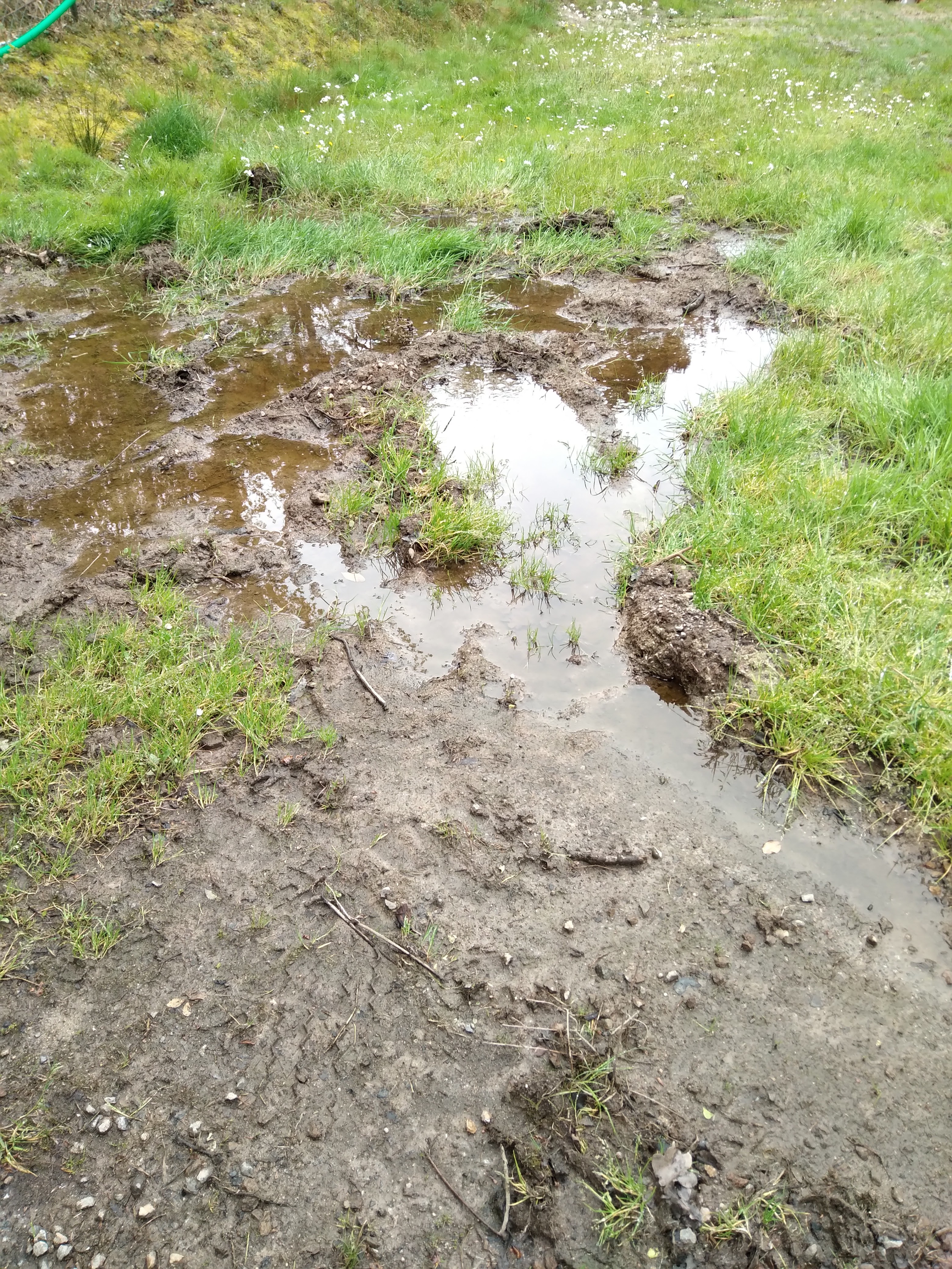 Photo n° 2 de l'avis de nel.e fait le 29/04/2023 à 16:28