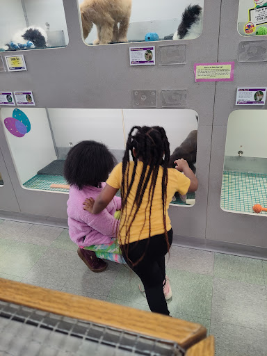 Pet Supply Store «PetSmart», reviews and photos, 2641 Lawndale Dr, Greensboro, NC 27408, USA