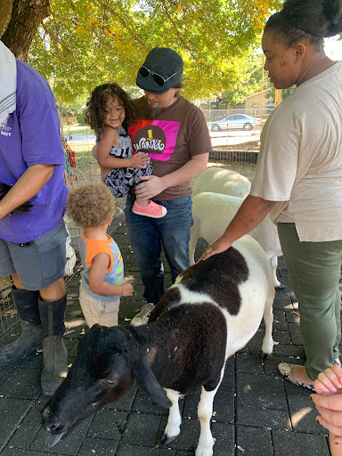 Preschool «Daddy Daycare & Preschool», reviews and photos, 7701 N Richland Blvd, North Richland Hills, TX 76180, USA