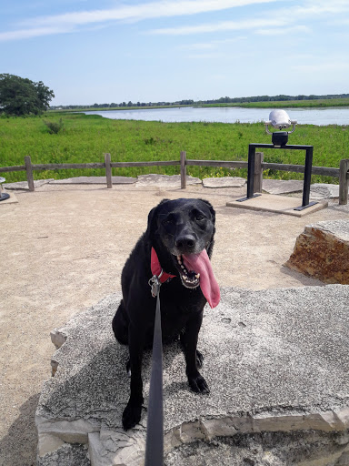 Nature Preserve «Rollins Savanna Forest Preserve», reviews and photos, 20160 W Washington St, Grayslake, IL 60030, USA