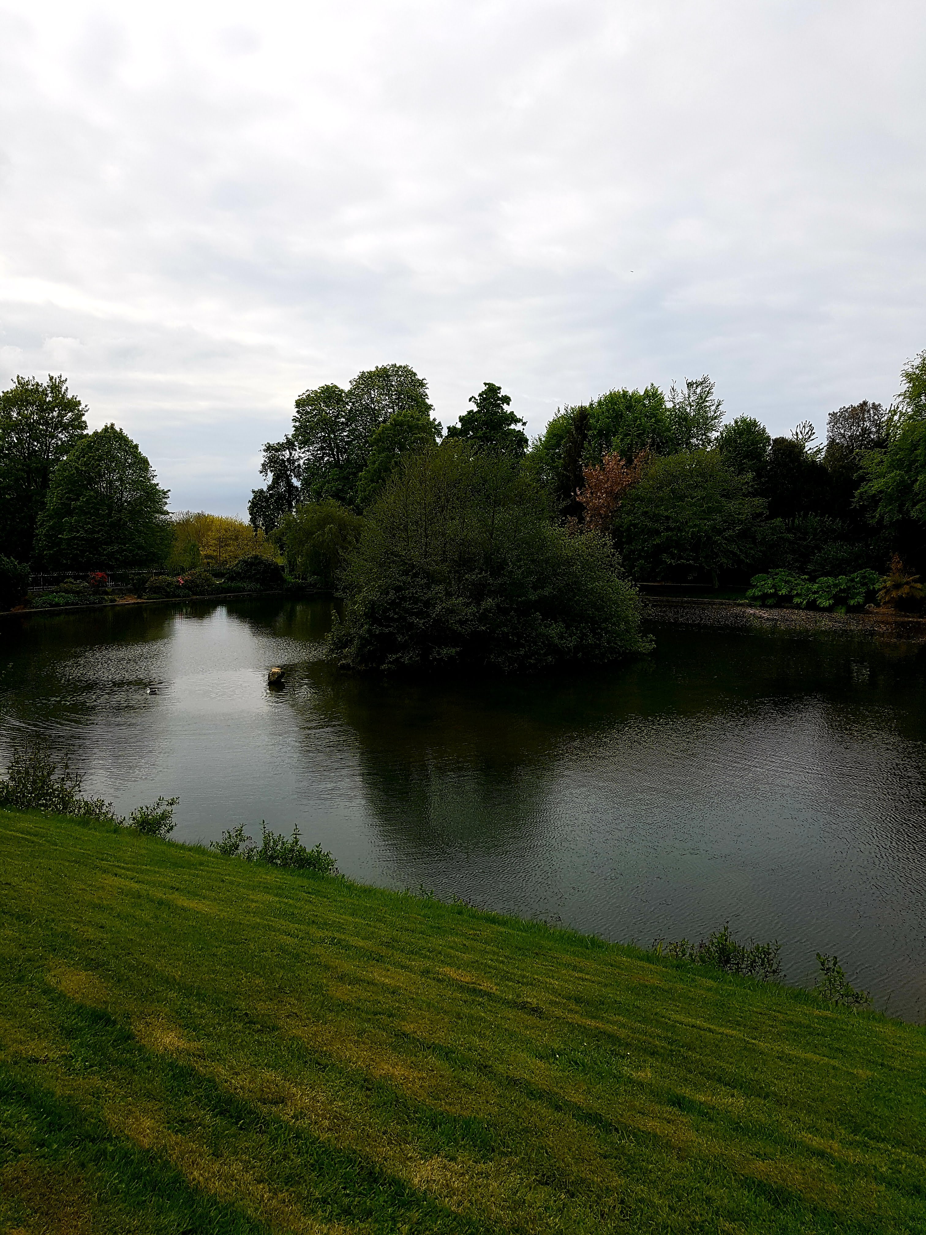 Photo n° 4 de l'avis de Dominique.r fait le 07/05/2019 à 14:28