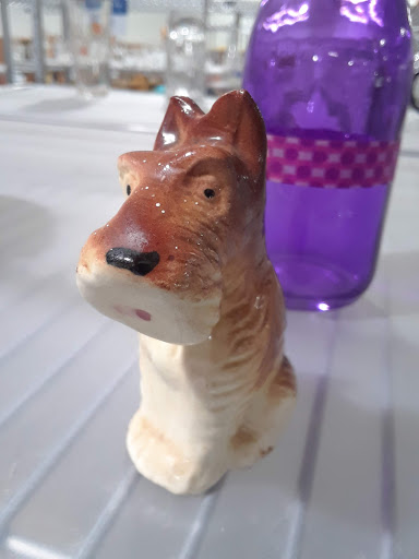 Thrift Store «Goodwill Industries Store & Donation Center», reviews and photos