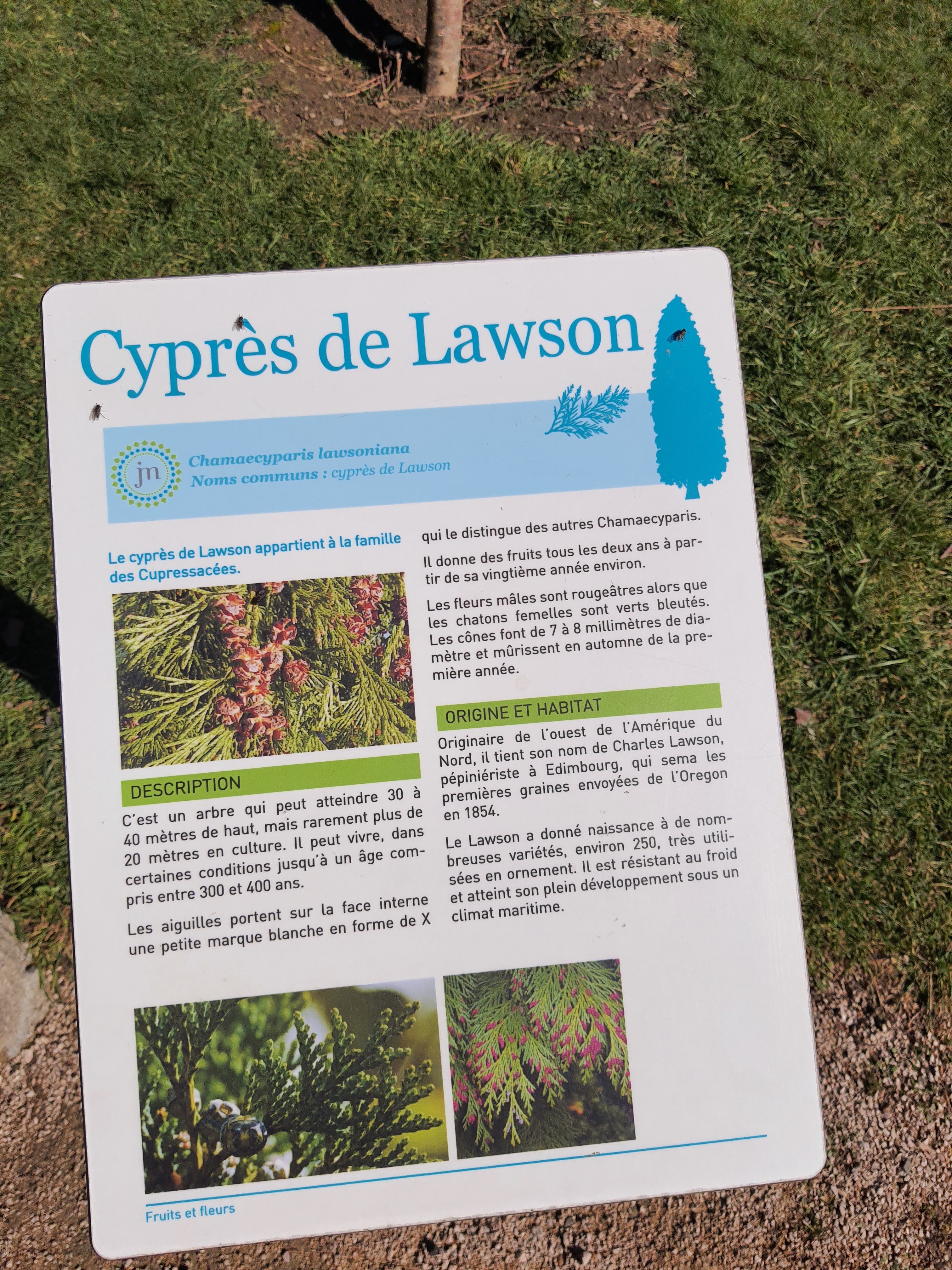 Photo n° 18 de l'avis de Tycha.a fait le 01/03/2023 à 16:01