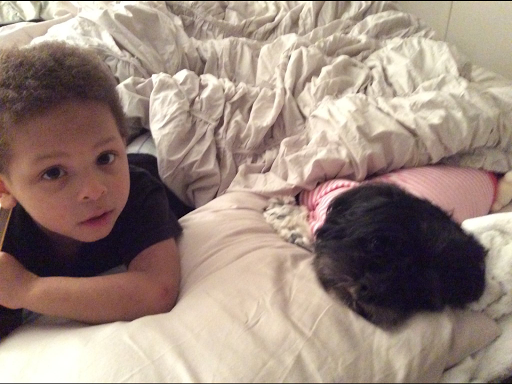 Pet Supply Store «Petco Animal Supplies», reviews and photos, 141 Tuckahoe Rd #130, Sewell, NJ 08080, USA