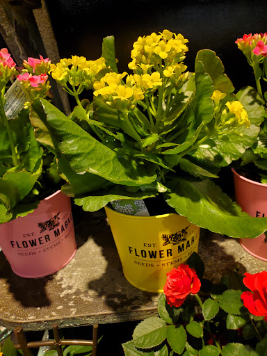 Grocery Store «Harmons», reviews and photos, 7755 700 E, Midvale, UT 84047, USA