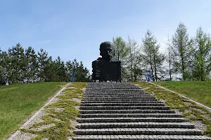 Pomnik Tarasa Szewczenki image