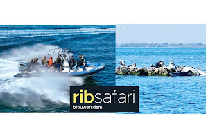 RIB-Adventure & Dolphin Events