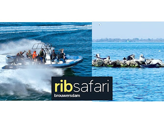 RIB-Adventure & Dolphin Events