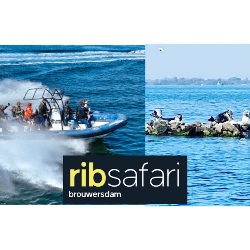 RIB-Adventure & Dolphin Events