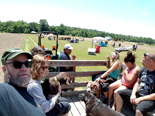 Dog Care «Hot Diggity Dog!», reviews and photos, 425 Salina Rd, Sewell, NJ 08080, USA