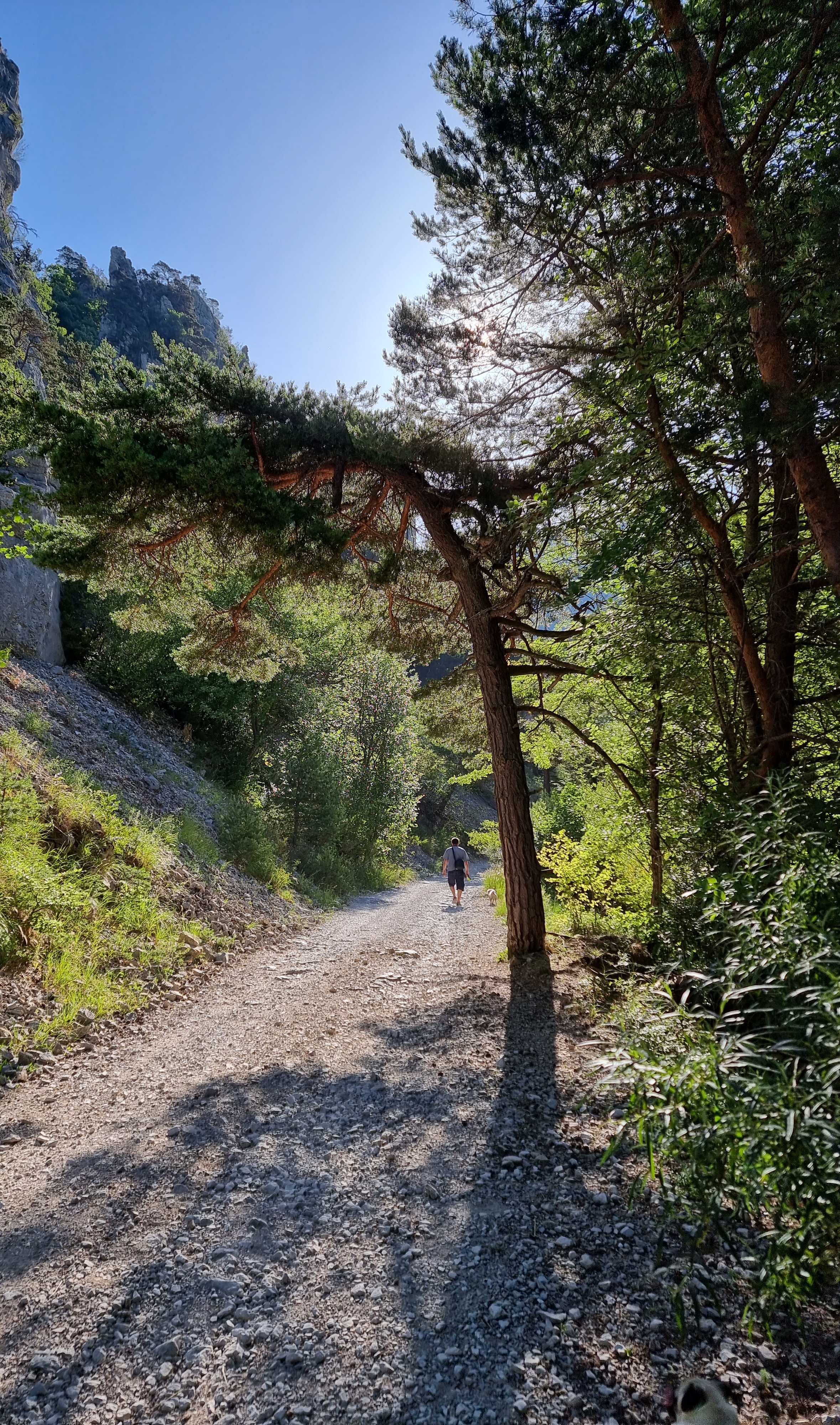 Photo n° 19 de l'avis de Viktória.i fait le 16/07/2022 à 13:58