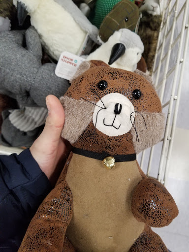 Home Goods Store «Christmas Tree Shops», reviews and photos, 15 Backus Ave Suite 42, Danbury, CT 06810, USA