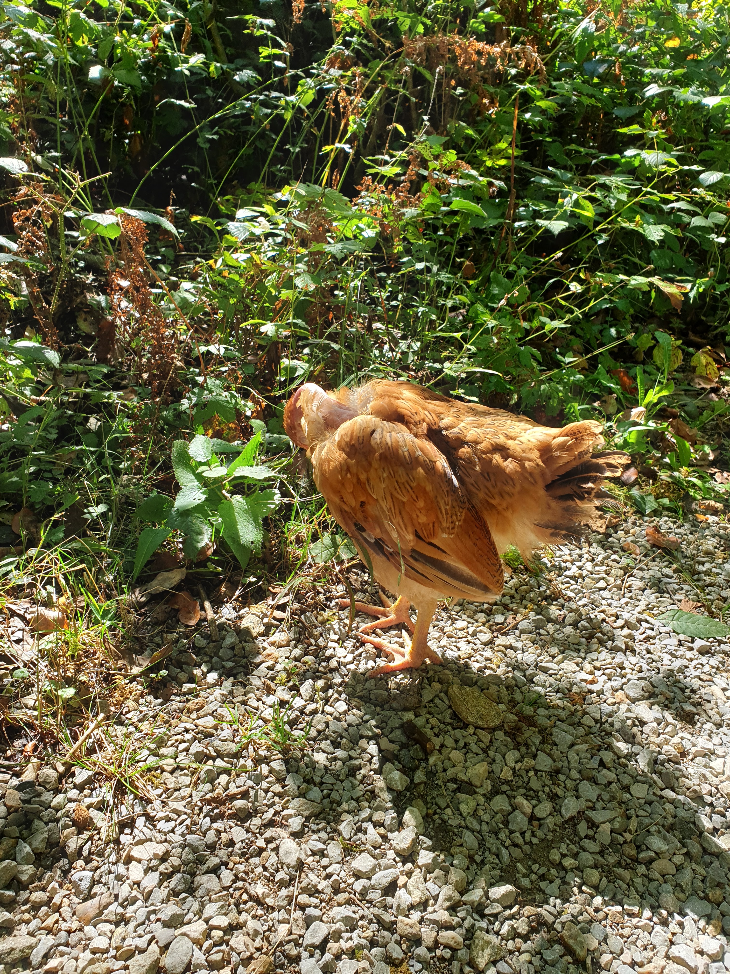 Photo n° 14 de l'avis de Sarah.h fait le 16/09/2020 à 12:45