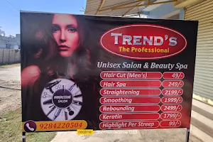 THE TREND'S PROFESSIONAL image