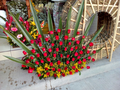 Floreria Vane florería en  en la zona centro