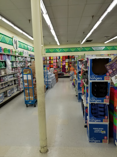 Dollar Store «Dollar Tree», reviews and photos, 4920 Allen Rd, Zephyrhills, FL 33541, USA
