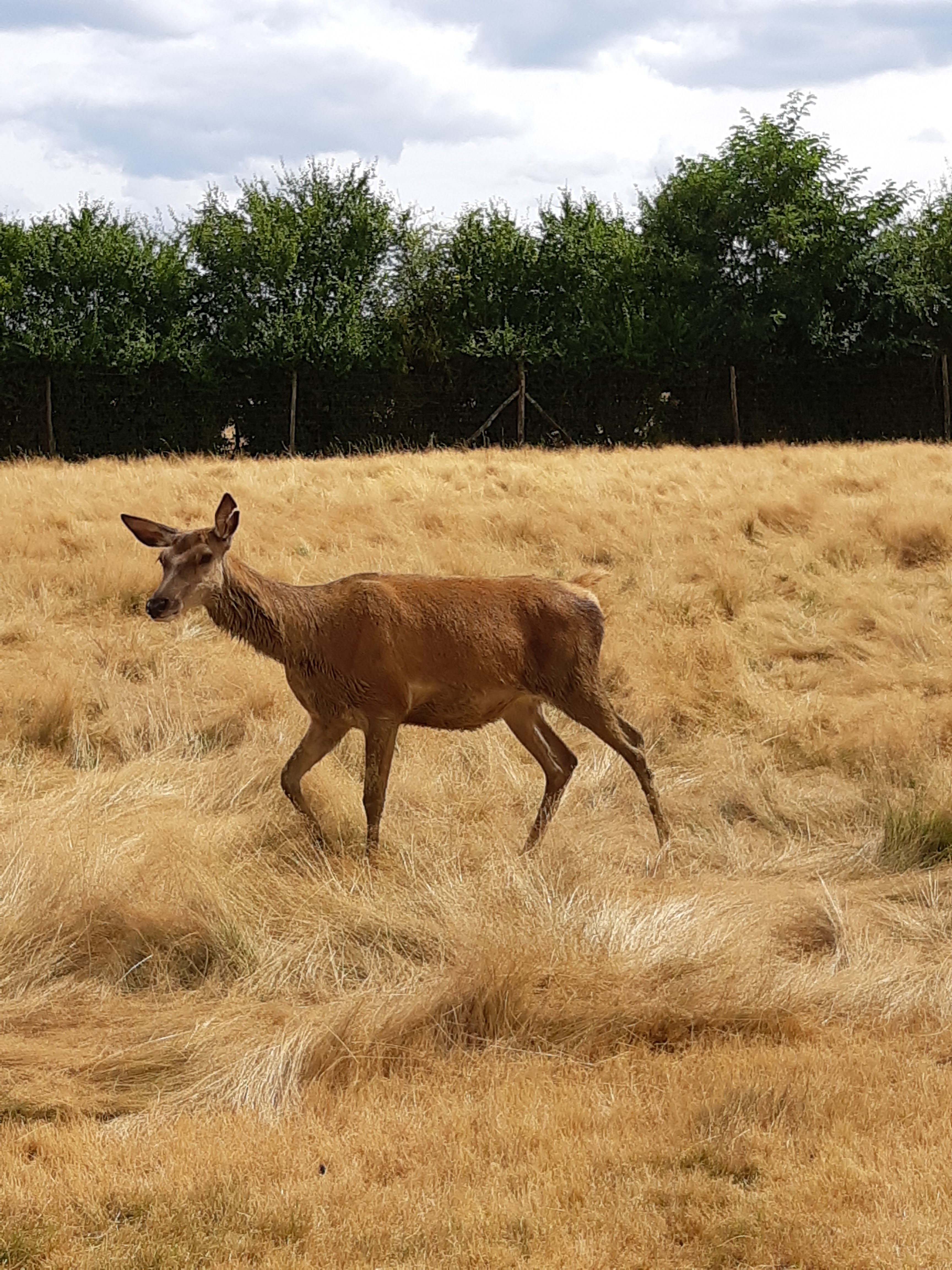 Photo n° 8 de l'avis de Carla.a fait le 10/08/2018 à 15:54