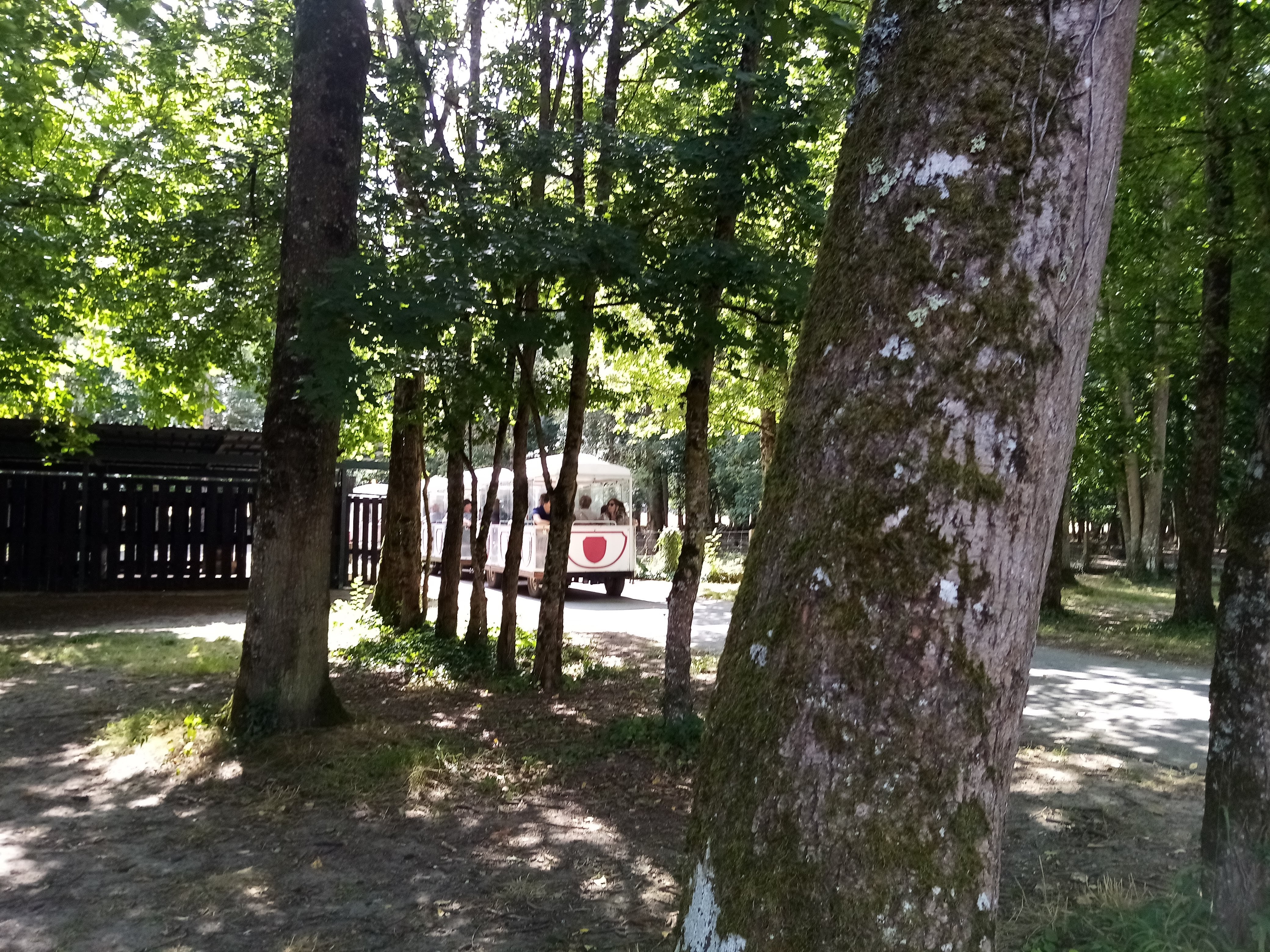 Photo n° 38 de l'avis de Aurelie.u fait le 17/08/2021 à 19:49