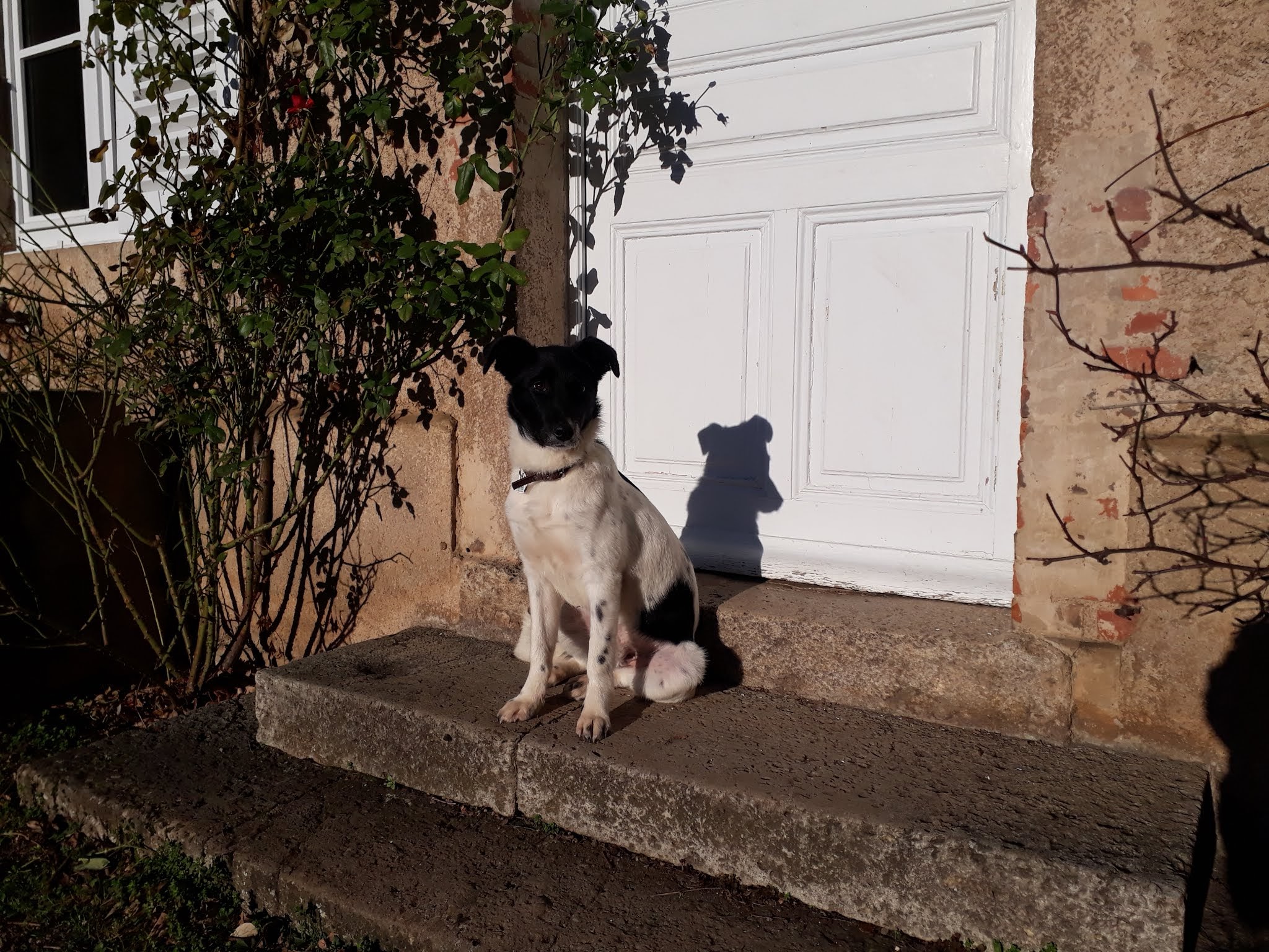 Photo n° 2 de l'avis de Laurent.e fait le 16/01/2020 à 11:57