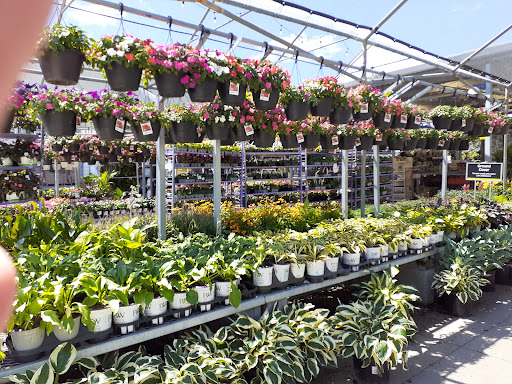 Home Improvement Store «The Home Depot», reviews and photos, 600 Terry Rich Blvd, St Clair, PA 17970, USA