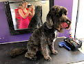 K9 Boutique Dog Grooming & Training Academy