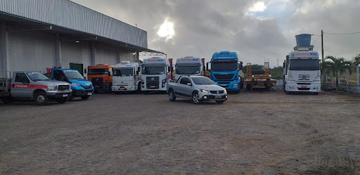 Logo da empresa - Bahia Sul Transportes