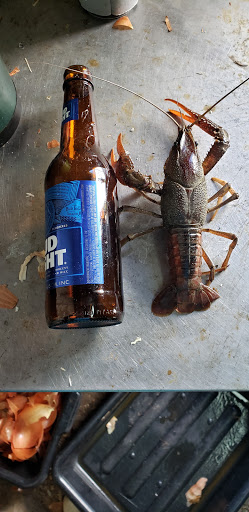 Seafood Market «Satsuma Seafood», reviews and photos, 29923 S Satsuma Rd, Livingston, LA 70754, USA