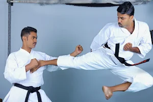 Mabuni Shito-ryu Karate Do International - Yeroor image