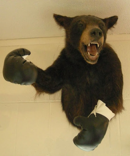 Tiki Tattoo, 4008 Pacific Ave SE, Lacey, WA 98503, USA, 