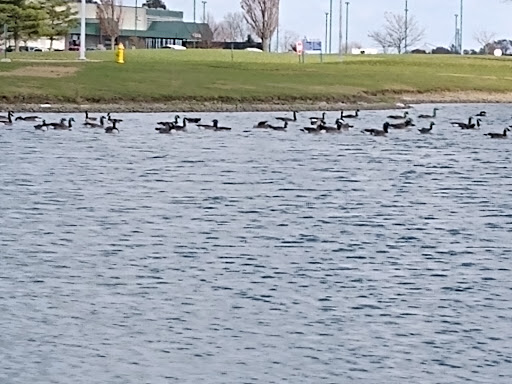 Grocery Store «Meijer», reviews and photos, 2153 Marion-Mt Gilead Rd, Marion, OH 43302, USA