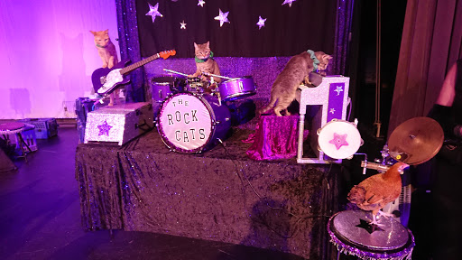 Performing Arts Theater «Carco Theatre», reviews and photos, 1717 Maple Valley Hwy, Renton, WA 98057, USA