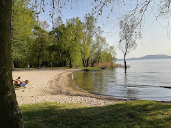 Foto von Spiaggia Guree Monvalle mit eine gerade küstenlinie