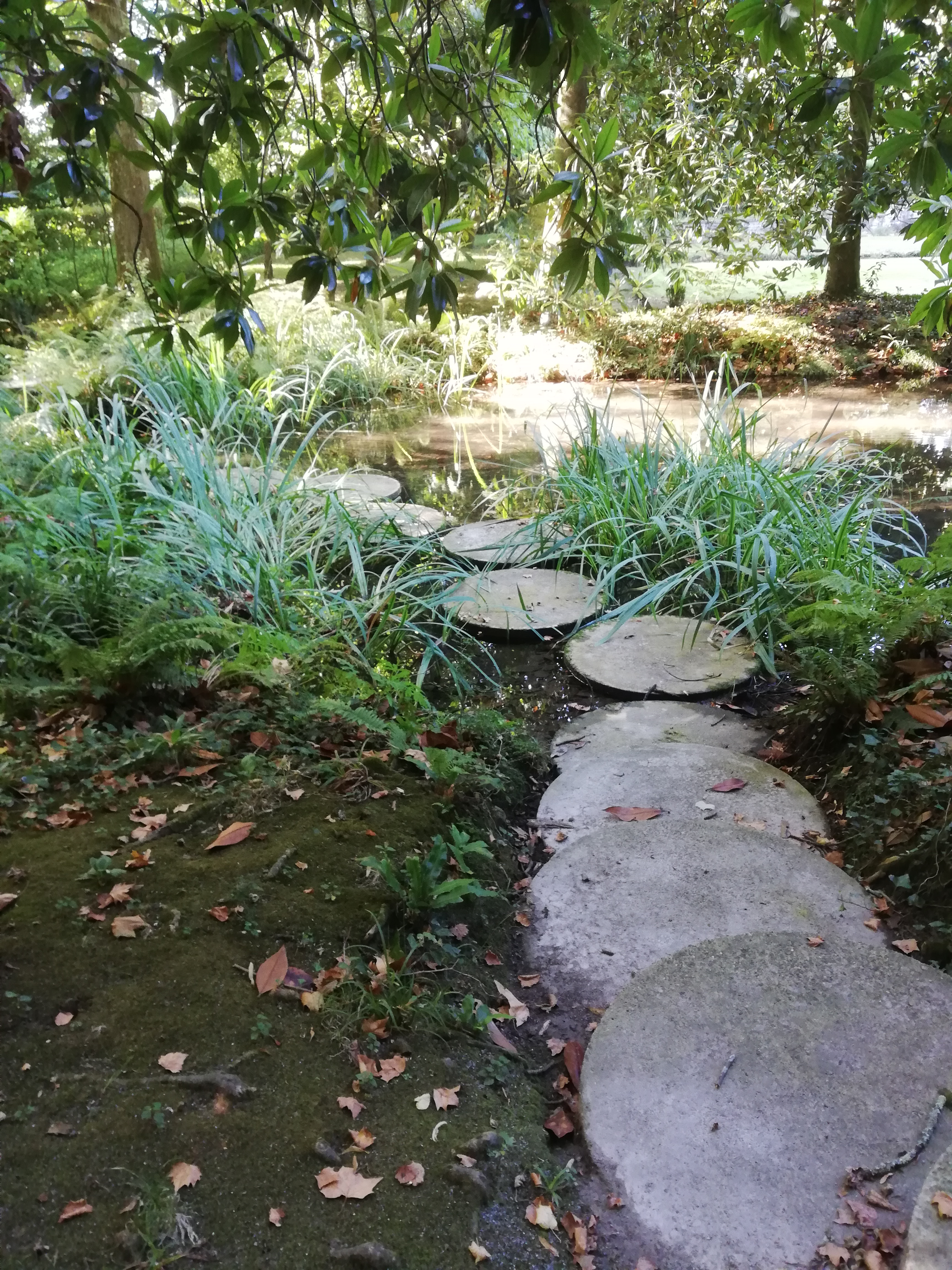 Photo n° 1 de l'avis de Alain.L fait le 13/09/2019 à 10:52