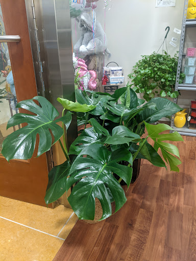 Florist «Ashland Addison Florist Co», reviews and photos, 250 E Superior St, Chicago, IL 60611, USA