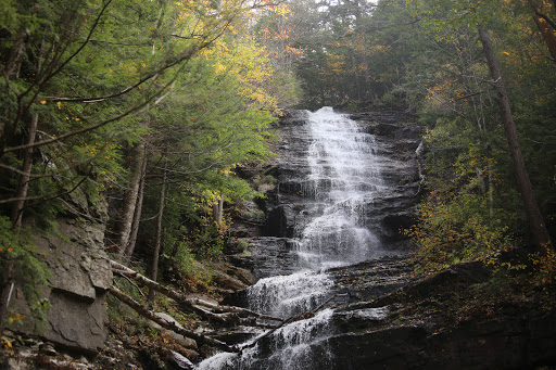 National Forest «Green Mountain and Finger Lakes National Forests», reviews and photos, 231 N Main St, Rutland, VT 05701, USA