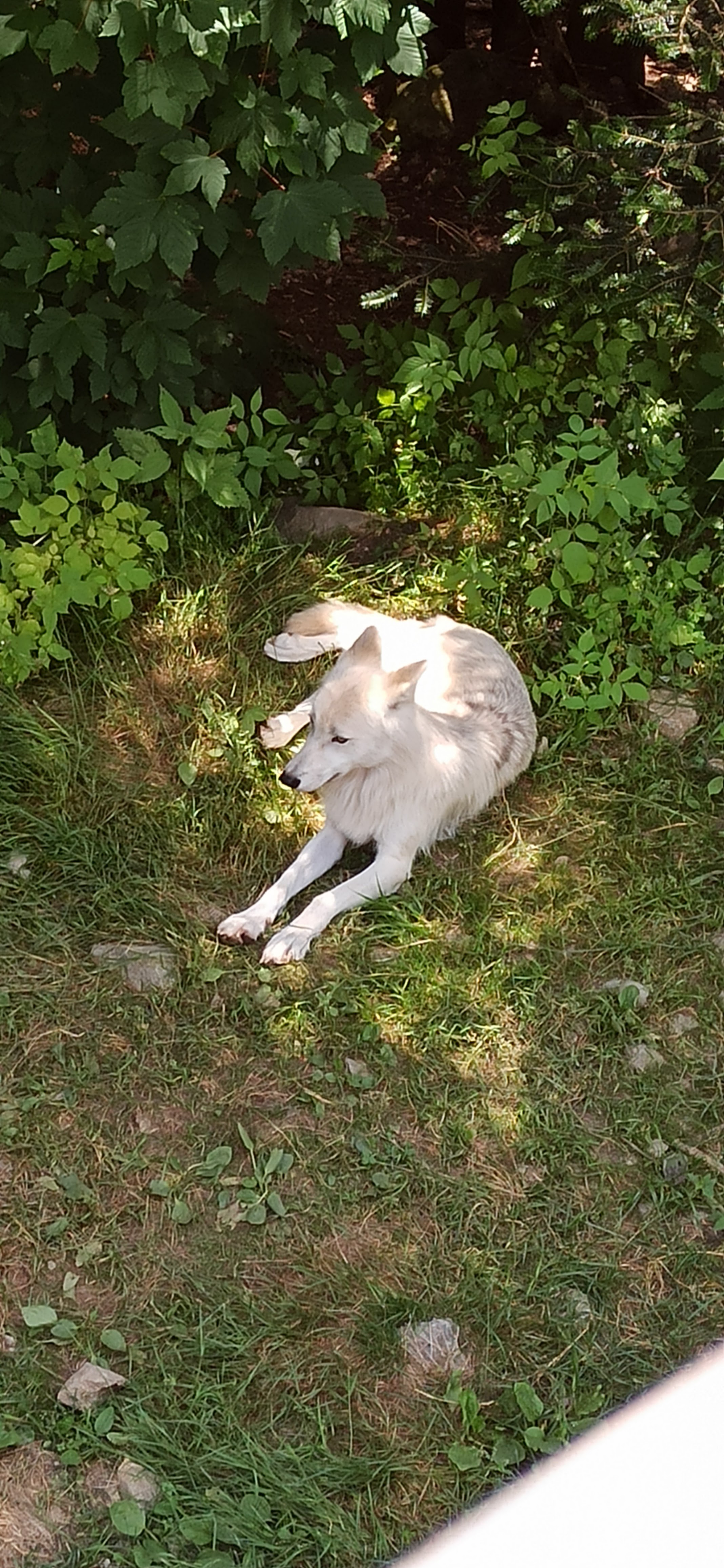 Photo n° 5 de l'avis de Paul. fait le 06/01/2021 à 18:40